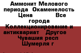 Аммонит Мелового периода. Окаменелость. › Цена ­ 2 800 - Все города Коллекционирование и антиквариат » Другое   . Чувашия респ.,Шумерля г.